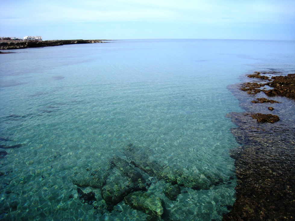 Fotogallery del mare Ostuni Puglia - Agriturismo Salento 19