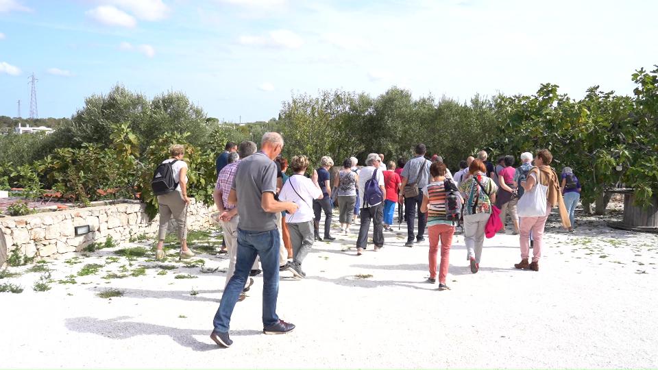 Offres vacances Pouilles : 10% de reduction reservation anticipee -  Agriturismo Salinola Puglia 20