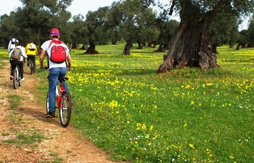 Apulien Bike - Radtour in der Natur des Agritourismus Puglia, Ostuni 3