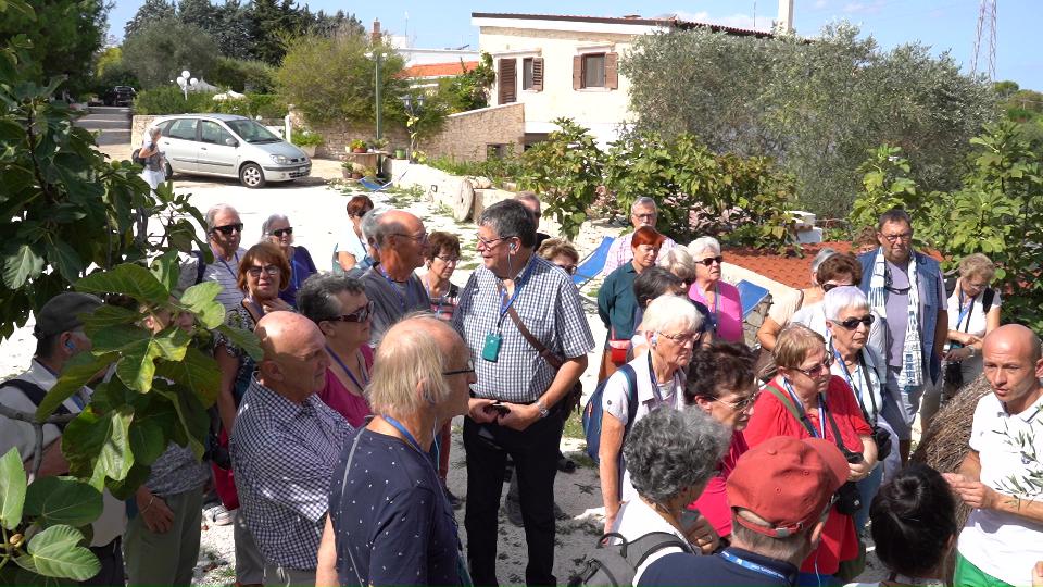 News Vacanze in Agriturismo Masserie Puglia - Agriturismo Salinola Ostuni 22