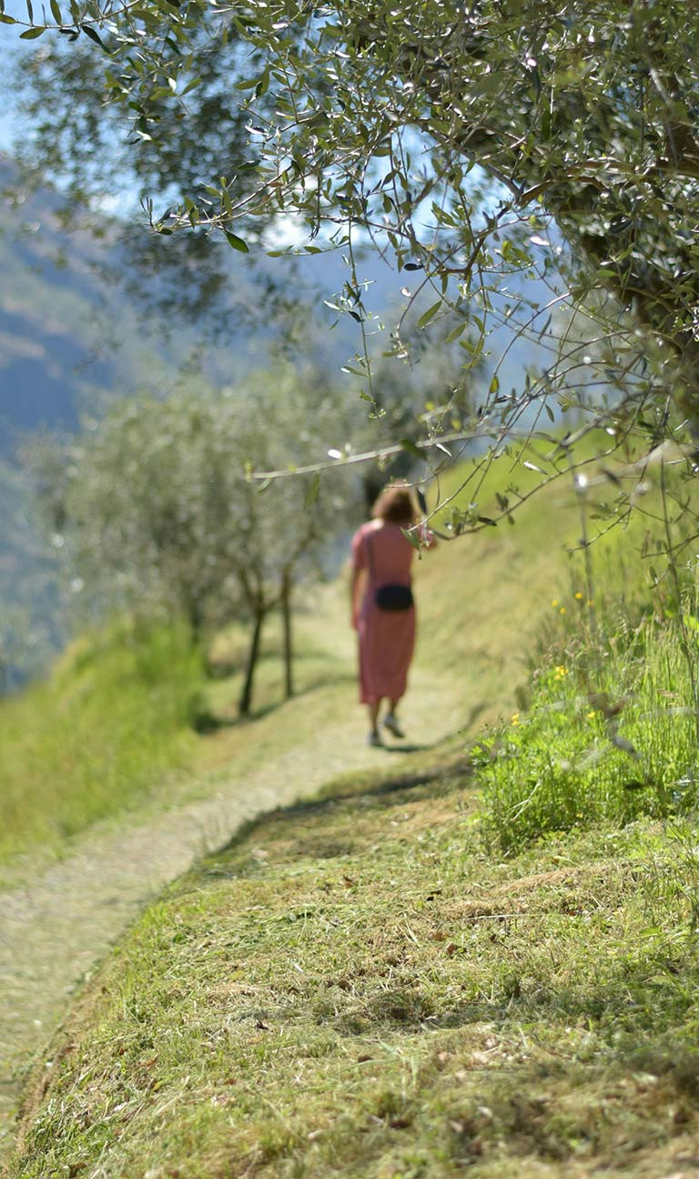 Natura e silenzi