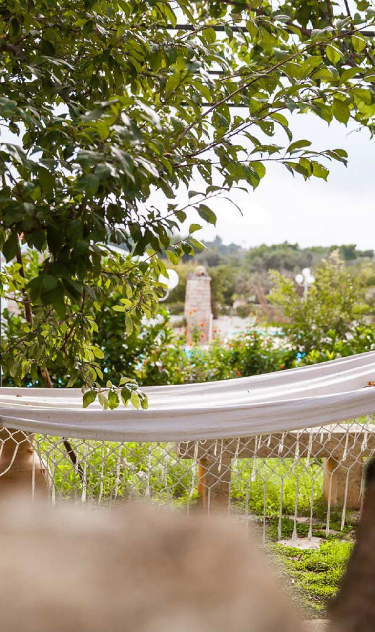 Amaca in Giardino
