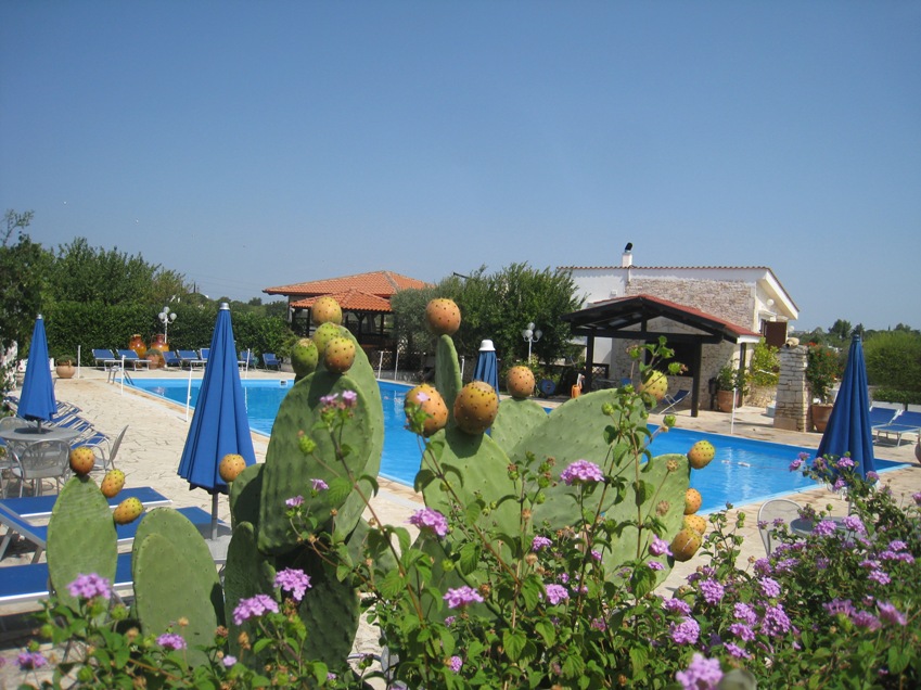Ferme avec piscine Ostuni - Agritourisme en Italie Pouilles - Agriturismo Salinola 8