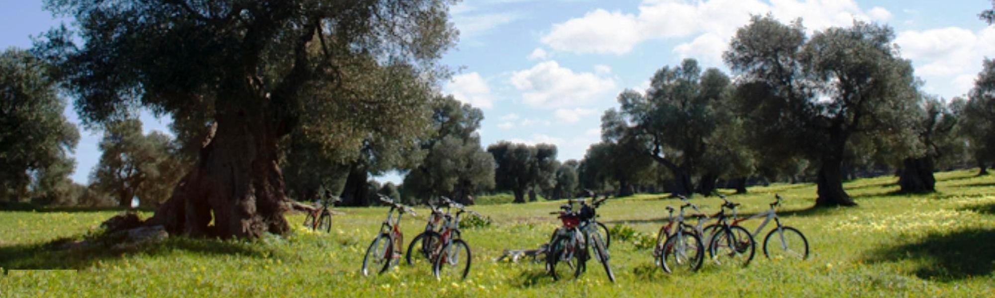 Apulien Bike - Radtour in der Natur des Agritourismus Puglia, Ostuni 0