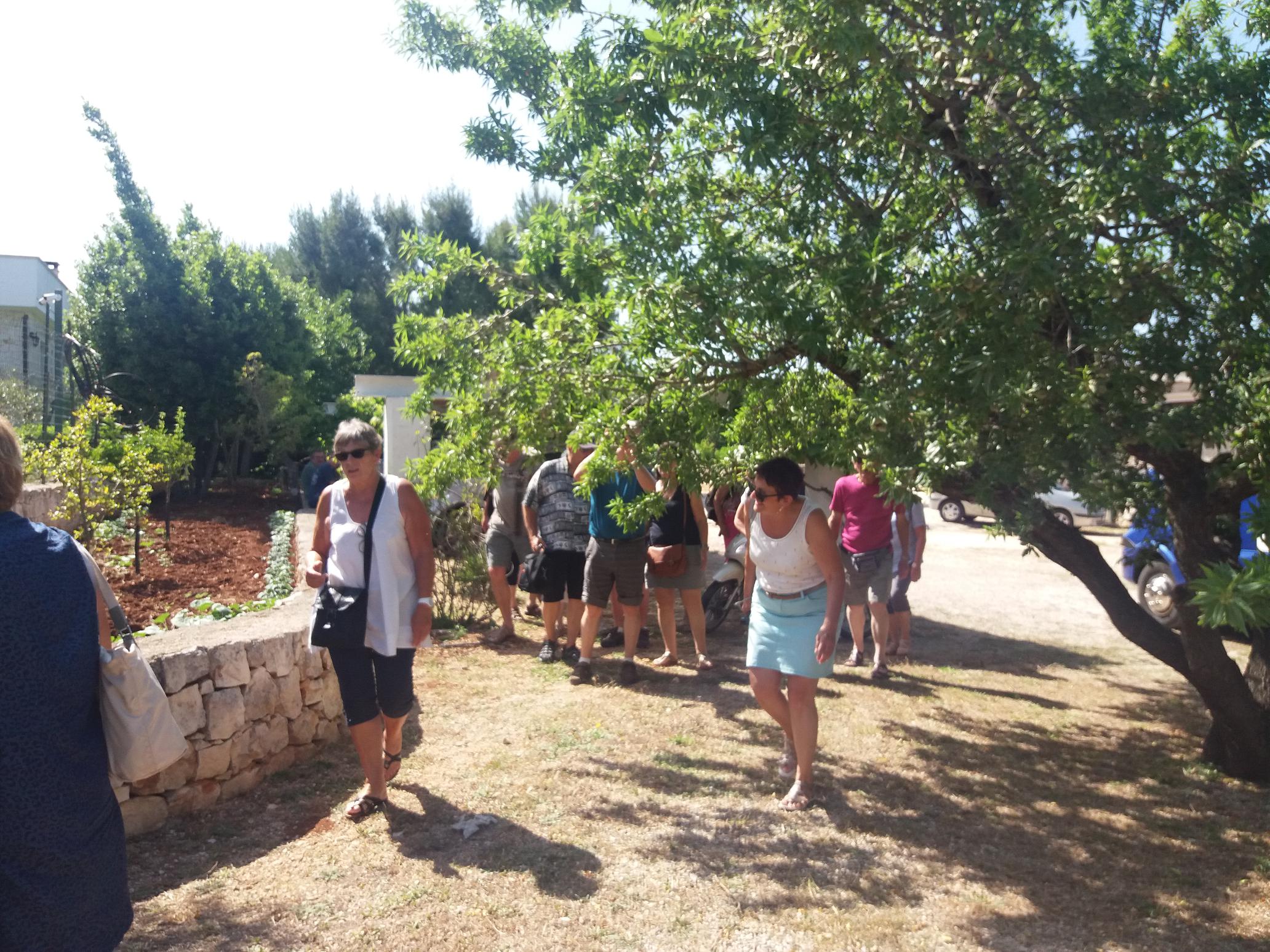 Degustazione olio extravergine di oliva per gruppi in Ostuni Puglia 2