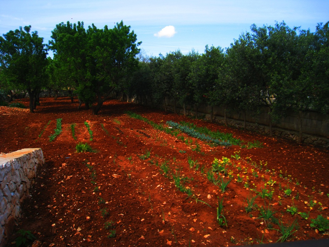 Agriturismo Salinola: Geschichte Agriturismo Ostuni, Puglia 16
