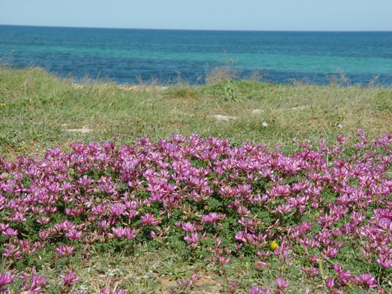 Die schonsten Strande Apuliens - Agritourismus Puglia - Agritourismus Apulien 1